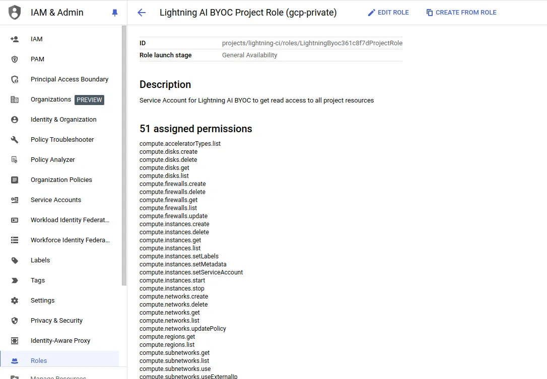 Lightning AI project roles