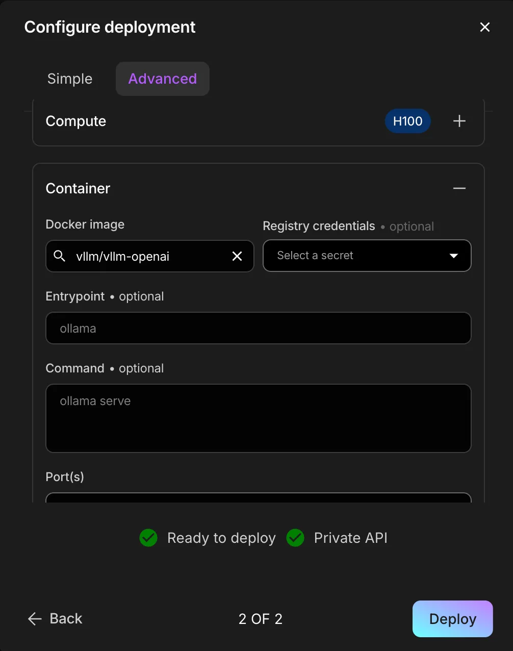 View of the Container section in the Advanced tab of the Deployment launch settings