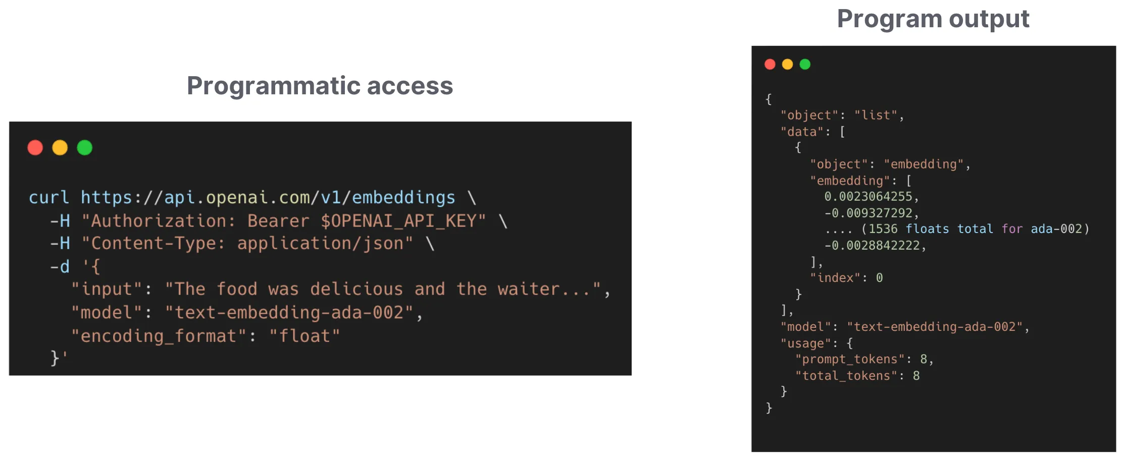 Humans access models through websites. Computers access them through APIs.