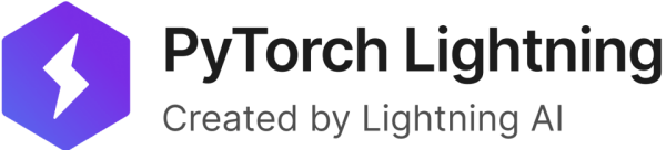 PyTorch Lightning Lightning
