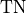 \text{TN}